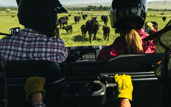 2026 CFMOTO UForce 800 XL