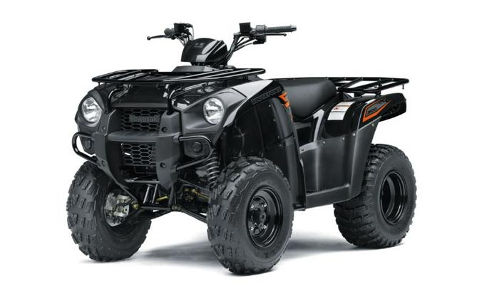 2018 Kawasaki Brute Force® 300