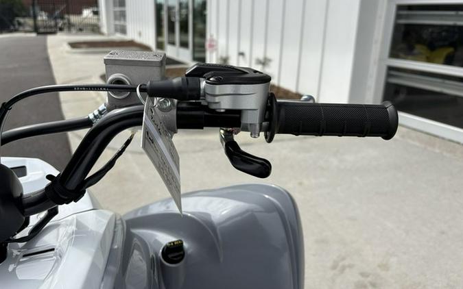 2026 Yamaha Raptor 700