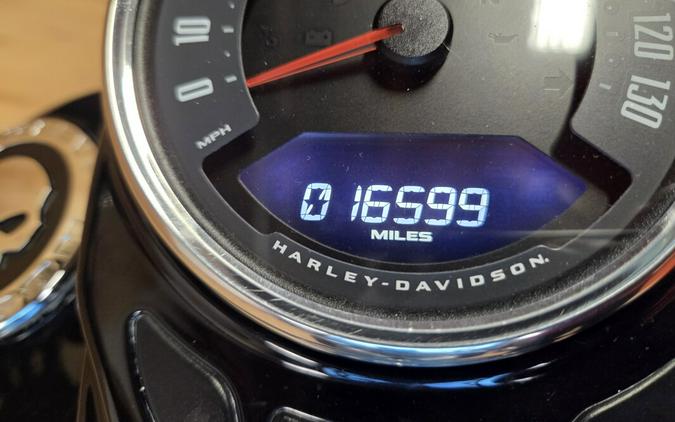 FLHCS 2020 Heritage Classic 114