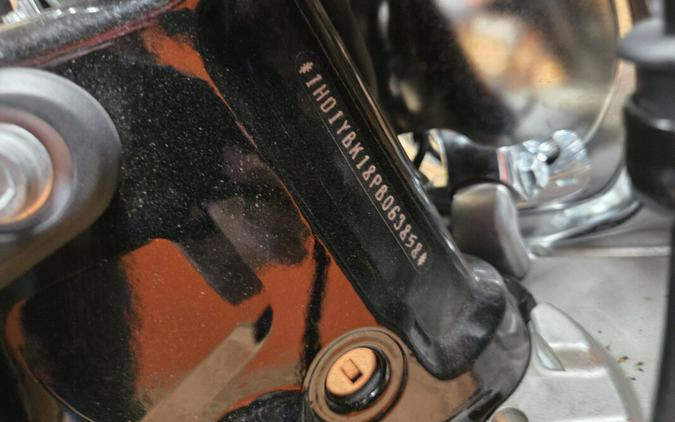 FLHCS 2023 Heritage Classic