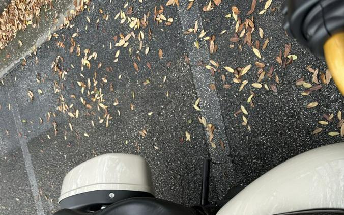 2023 Harley-Davidson® Low Rider® ST FXLRST