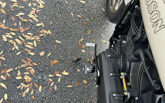 2023 Harley-Davidson® Low Rider® ST FXLRST