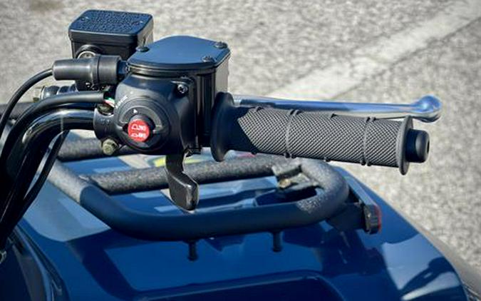 2025 Kawasaki Brute Force 450 4x4