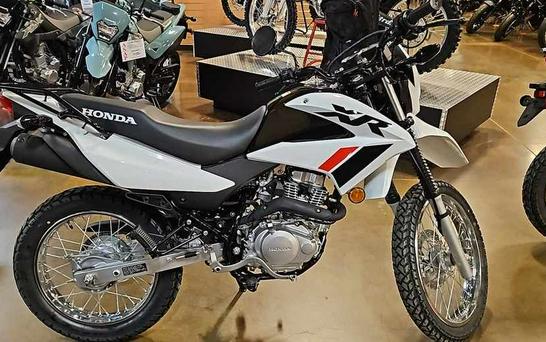 2023 Honda XR150L First Look [8 Fast Facts + 21 Photos]