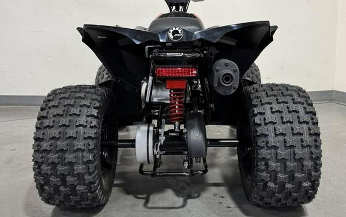 2026 Can-Am Renegade X Xc 110 EFI