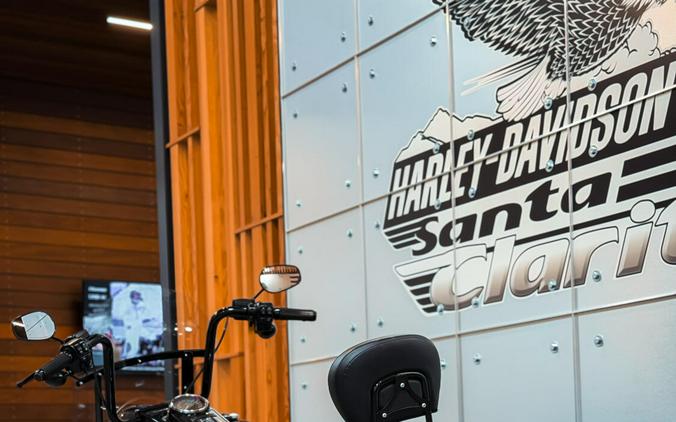 2019 Harley-Davidson® Road King® Special