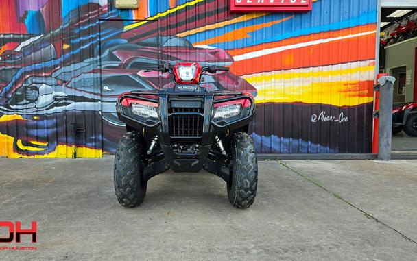 2025 Honda® FourTrax Foreman Rubicon 4x4 EPS