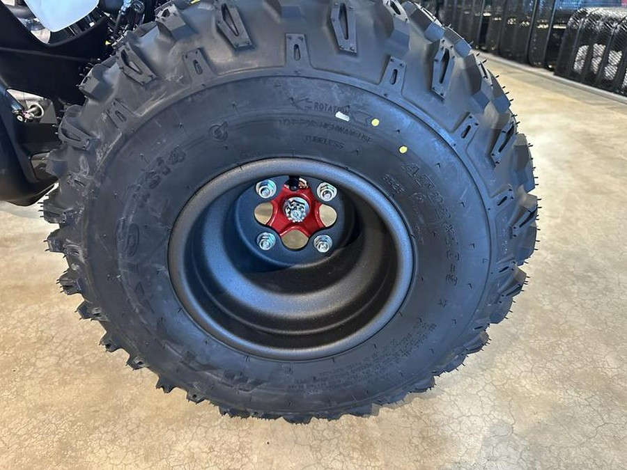 2026 Honda® TRX250X