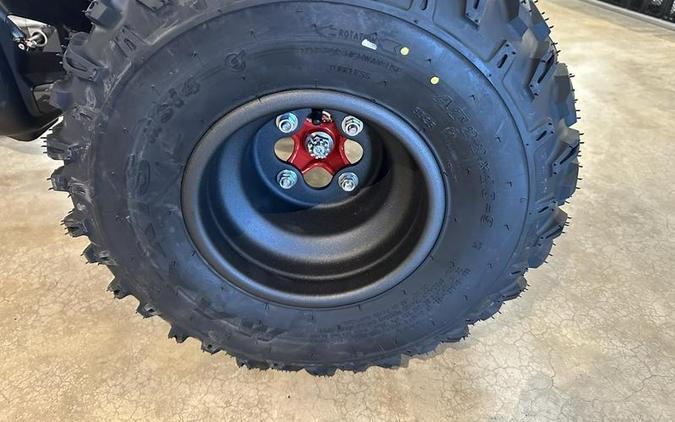 2026 Honda® TRX250X