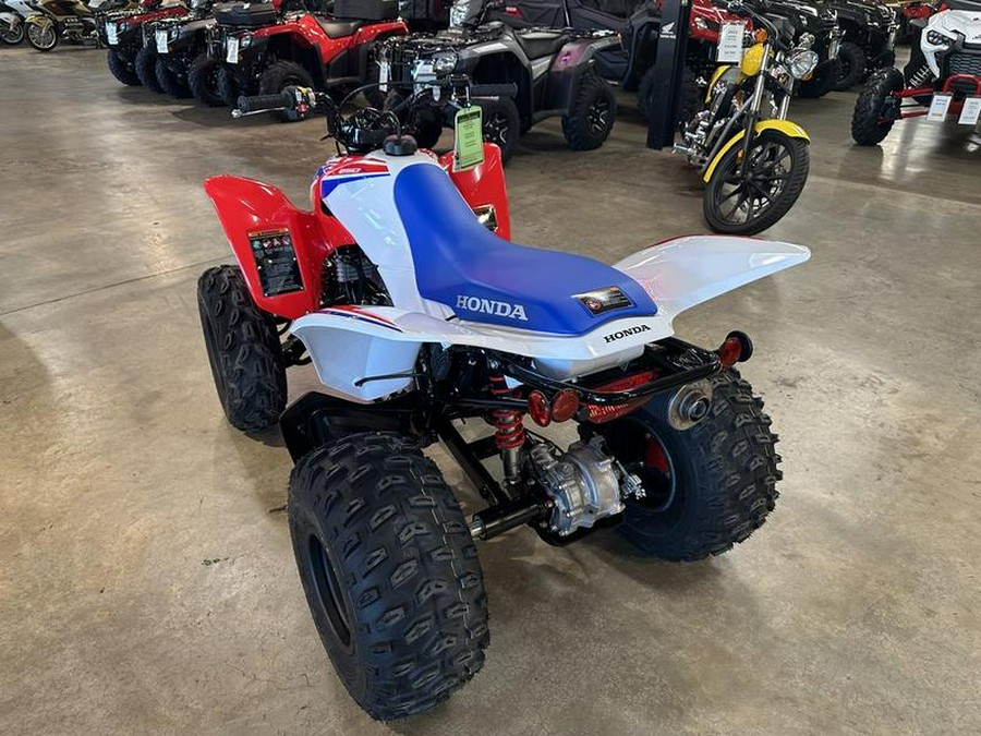 2026 Honda® TRX250X