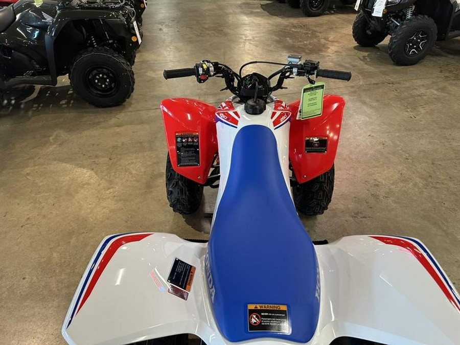 2026 Honda® TRX250X