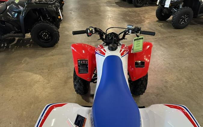2026 Honda® TRX250X