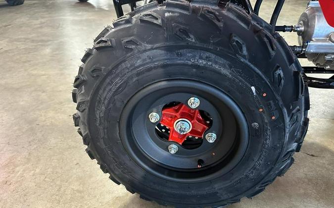 2026 Honda® TRX250X