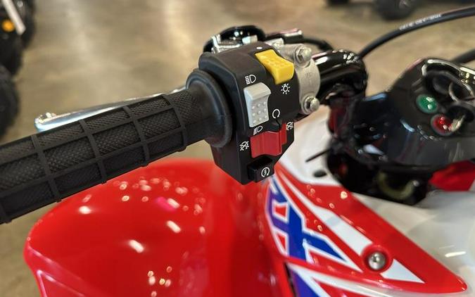 2026 Honda® TRX250X