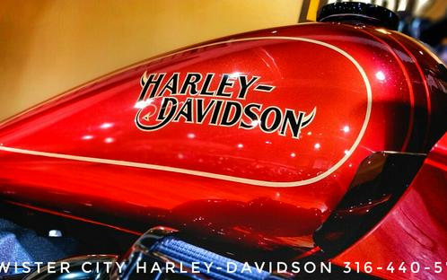 USED 2022 Harley-Davidson Low Rider El Diablo, FXRST