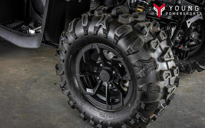 2025 CFMOTO CFORCE 600