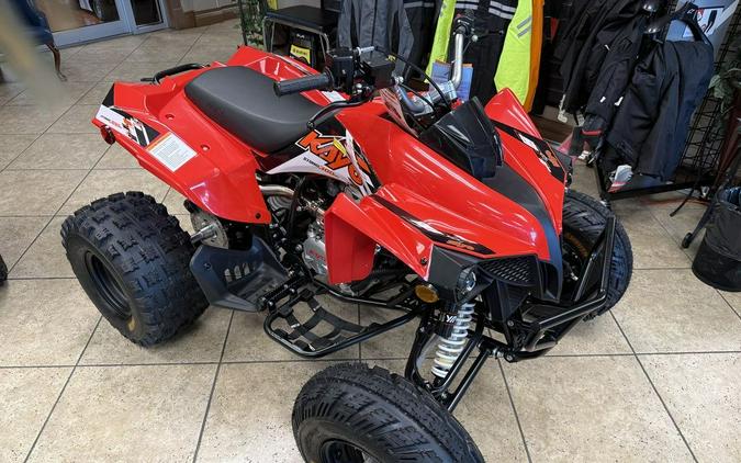 2026 Kayo Storm 300 EFI
