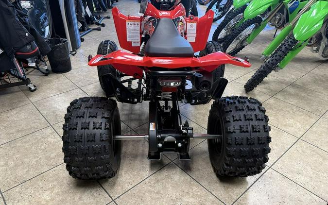 2026 Kayo Storm 300 EFI