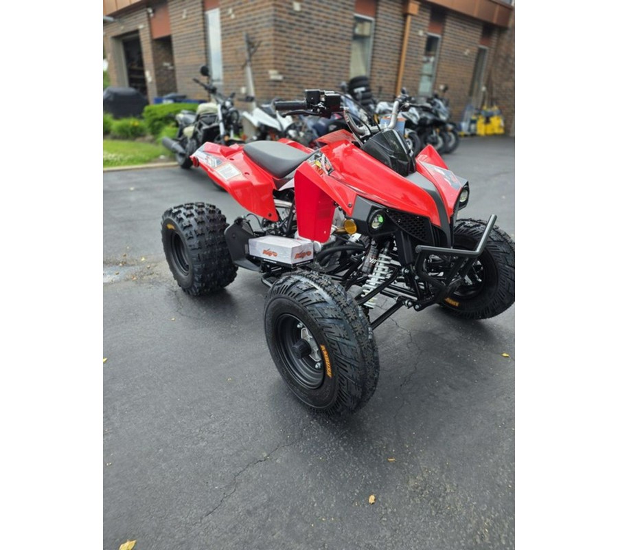 2026 Kayo Storm 300 EFI