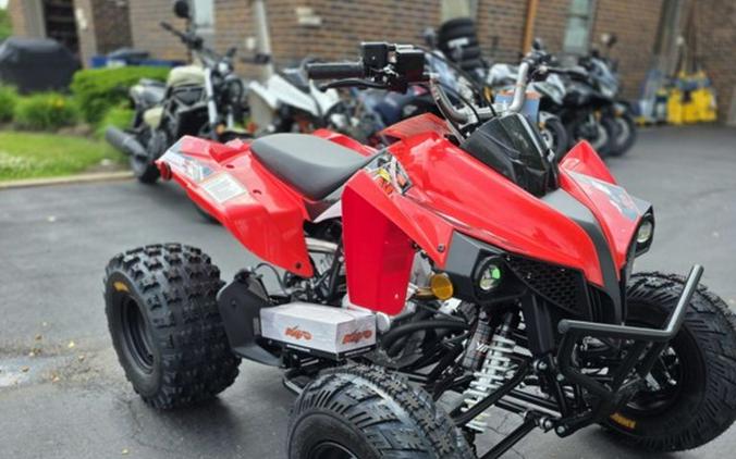 2026 Kayo Storm 300 EFI