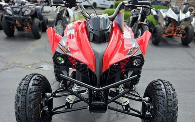 2026 Kayo Storm 300 EFI