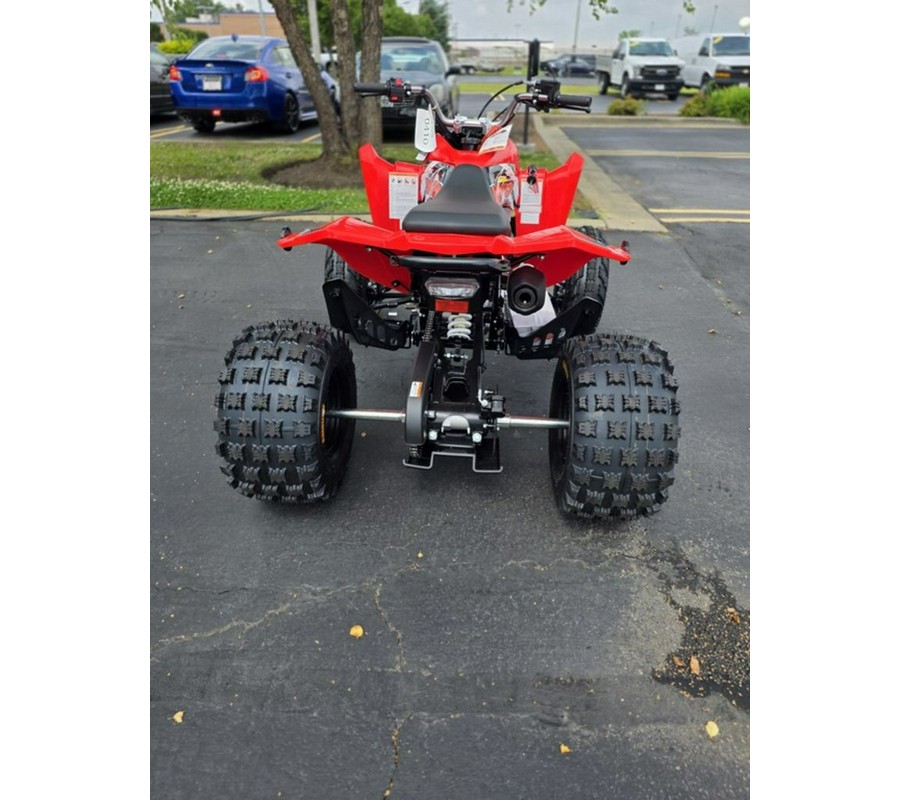 2026 Kayo Storm 300 EFI