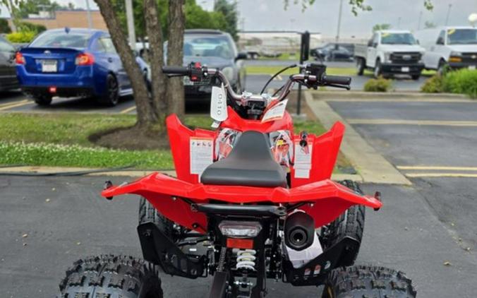 2026 Kayo Storm 300 EFI