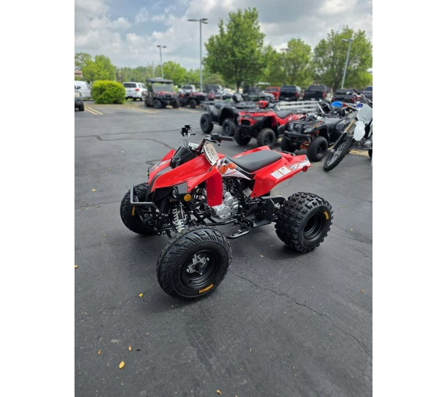 2026 Kayo Storm 300 EFI