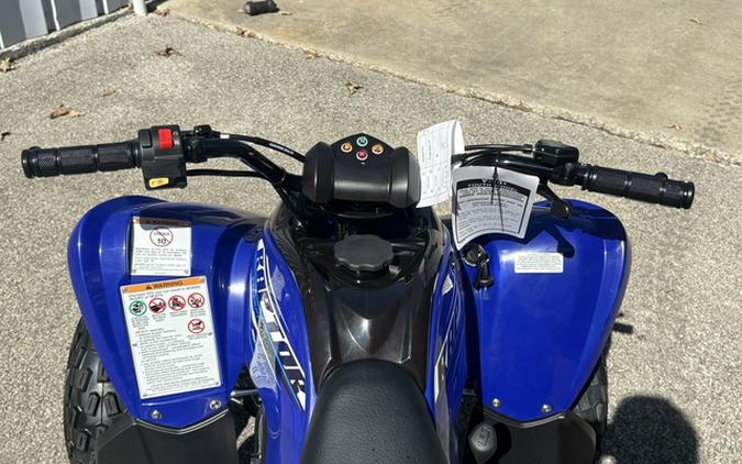 2026 Yamaha Raptor 110