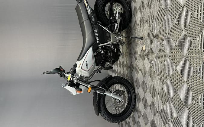 2027 YAMAHA TW 200 GALLANT GRAY
