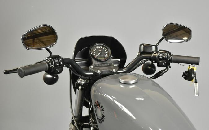 2022 Harley-Davidson Iron 883