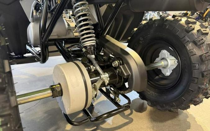 2026 Yamaha Raptor 110