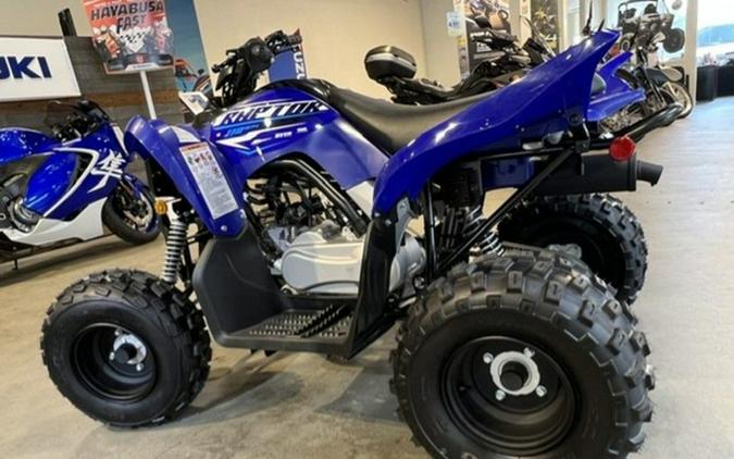 2026 Yamaha Raptor 110