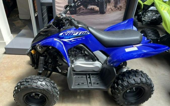 2026 Yamaha Raptor 110