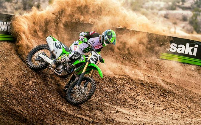 2019 Kawasaki KX 450