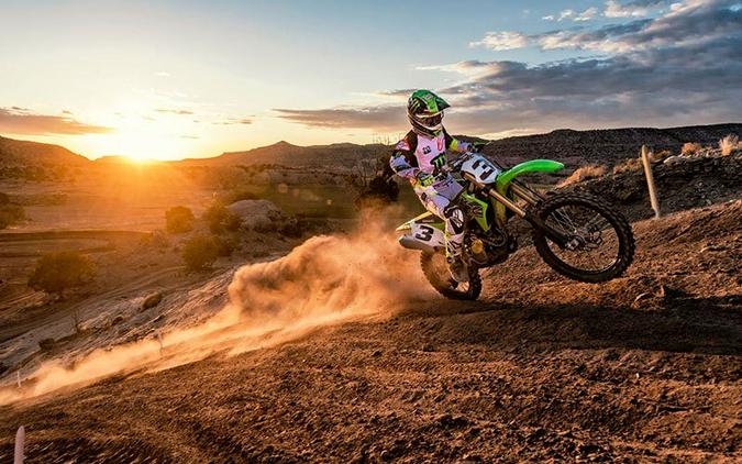 2019 Kawasaki KX 450