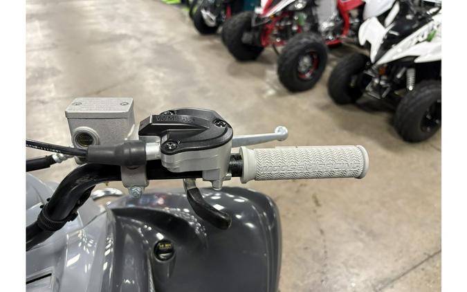 2019 Raptor 700 - Yamaha
