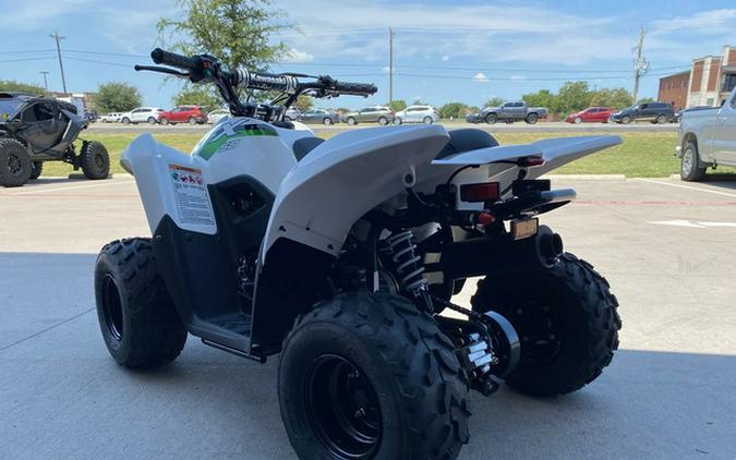 2027 Kawasaki KFX 50