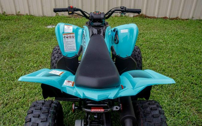 2024 Yamaha Raptor 110