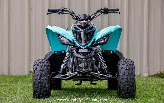 2024 Yamaha Raptor 110