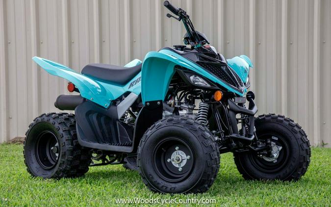 2024 Yamaha Raptor 110