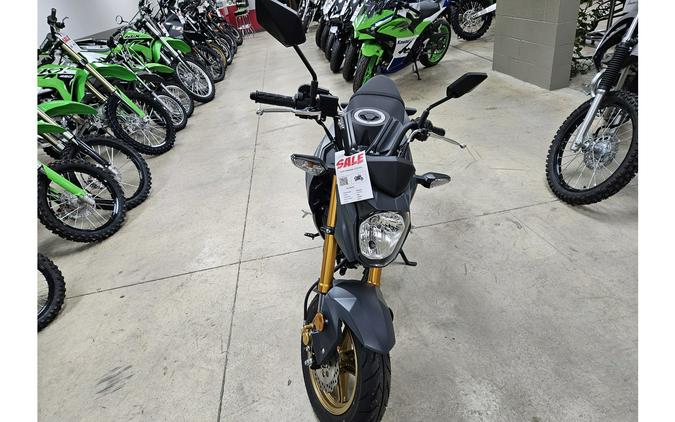 2024 Kawasaki Z125 Pro