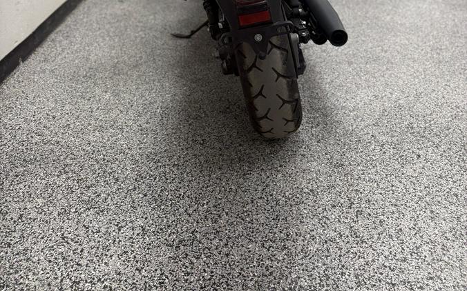 2024 Honda Shadow Phantom Deep Pearl Gary - UH1114