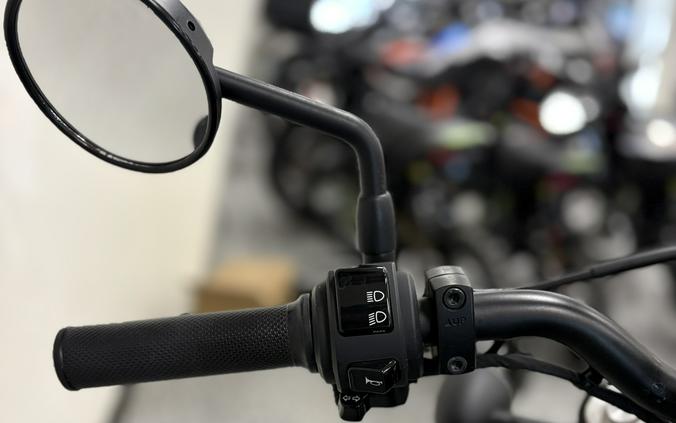 2024 Honda Rebel 300 ABS Pearl Black - UH0212