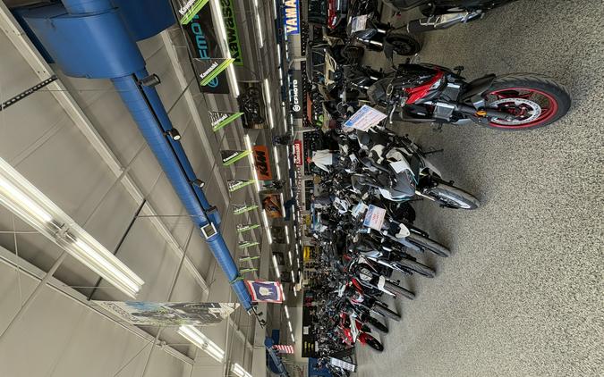 2024 Honda Rebel 300 ABS Pearl Black - UH0212