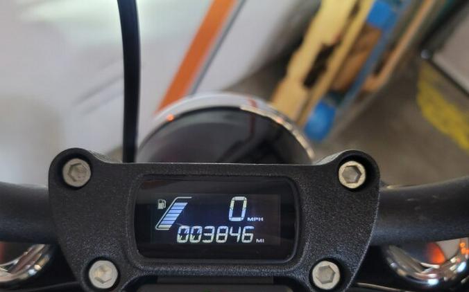 2020 Harley-Davidson® Street Bob® Spruce FXBB