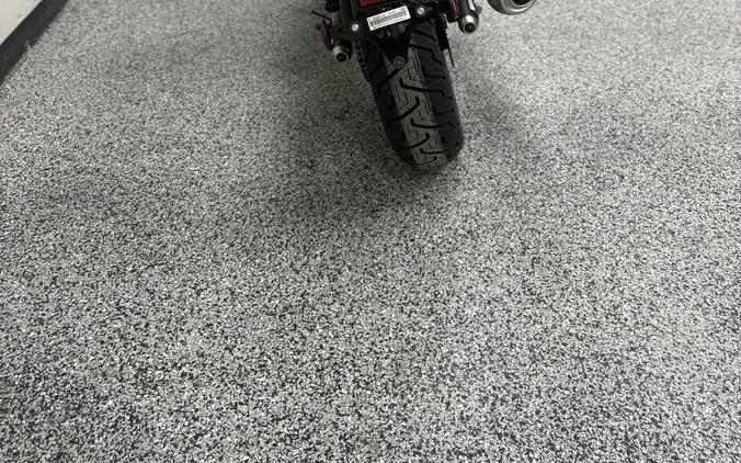 2026 Honda Rebel 500 Pearl Smoky Gray - H0452