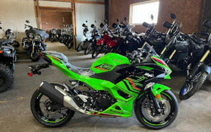 2024 Kawasaki Ninja® 500 KRT Edition