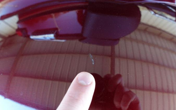 2017 Harley-Davidson Tri Glide